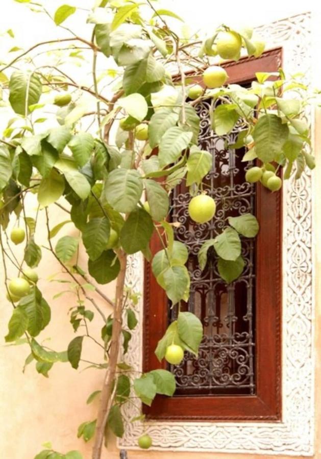 Riad Dar Rania Marrakech Medina Jemaa El Fna Marrakesh Exteriör bild
